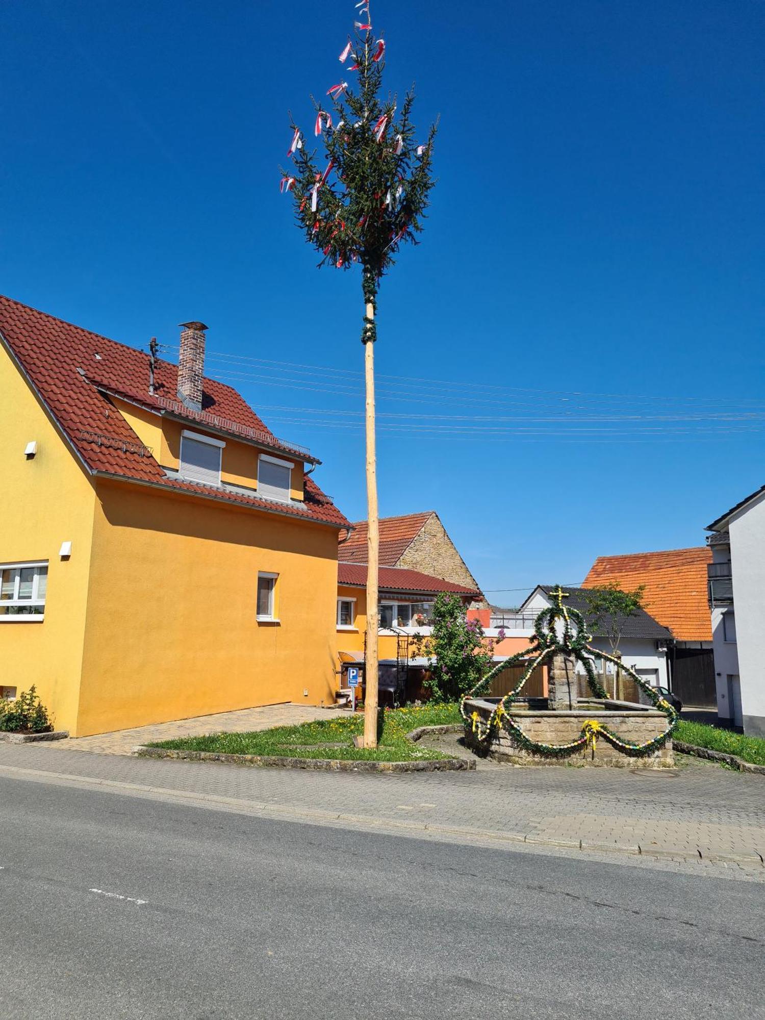 Ferienwohnung Pflueger Mit Terrasse Lauda-Königshofen Kültér fotó